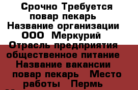 Срочно Требуется повар-пекарь › Название организации ­ ООО “Меркурий“ › Отрасль предприятия ­ общественное питание › Название вакансии ­ повар-пекарь › Место работы ­ Пермь › Минимальный оклад ­ 18 000 - Пермский край, Пермь г. Работа » Вакансии   